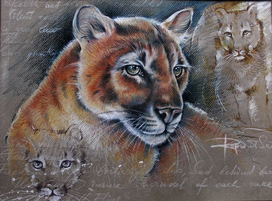Lioness Sketch