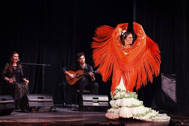 Flamenco 06