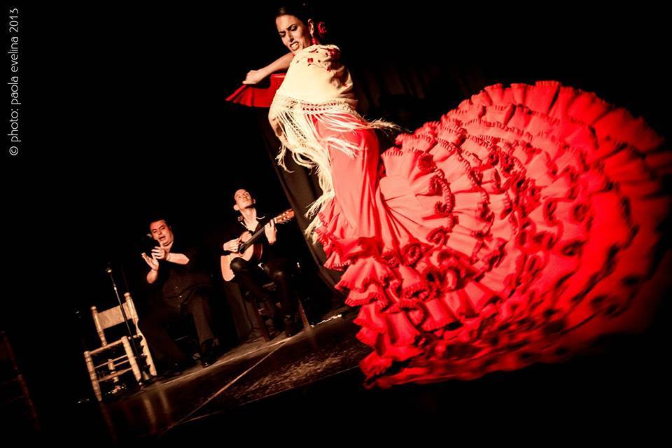 Flamenco 05