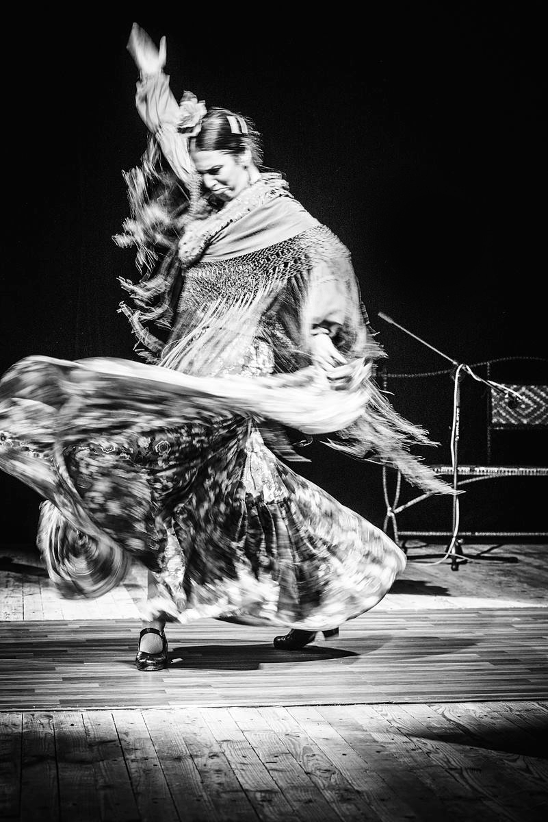 Flamenco 04