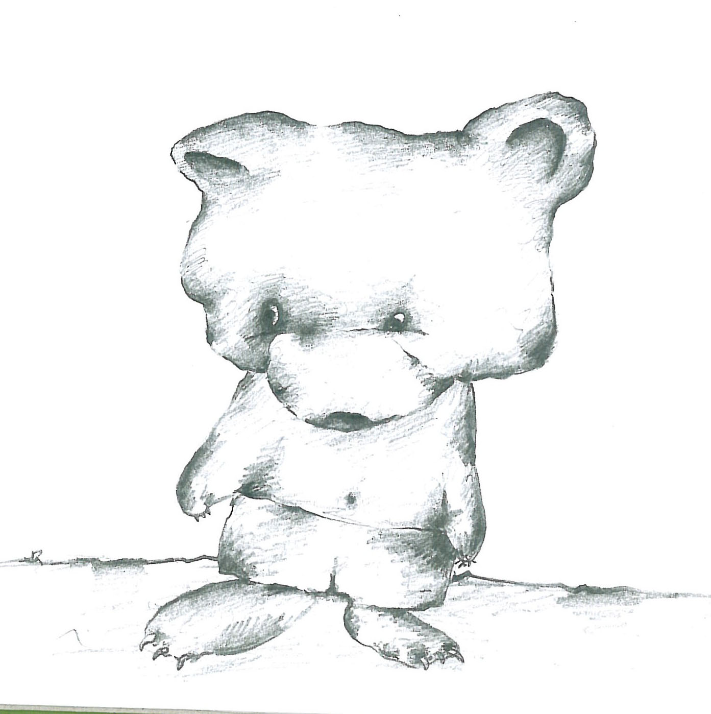 Animals (8)