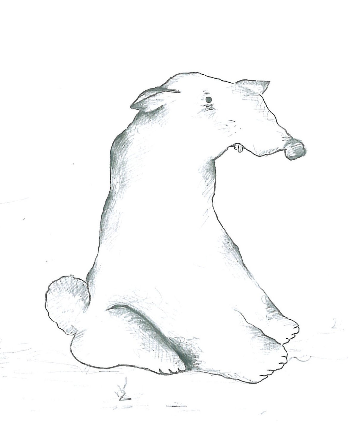 Animals (15)