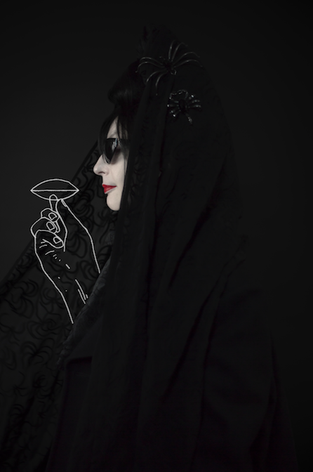 Dries Van Noten x Diane Pernet 1