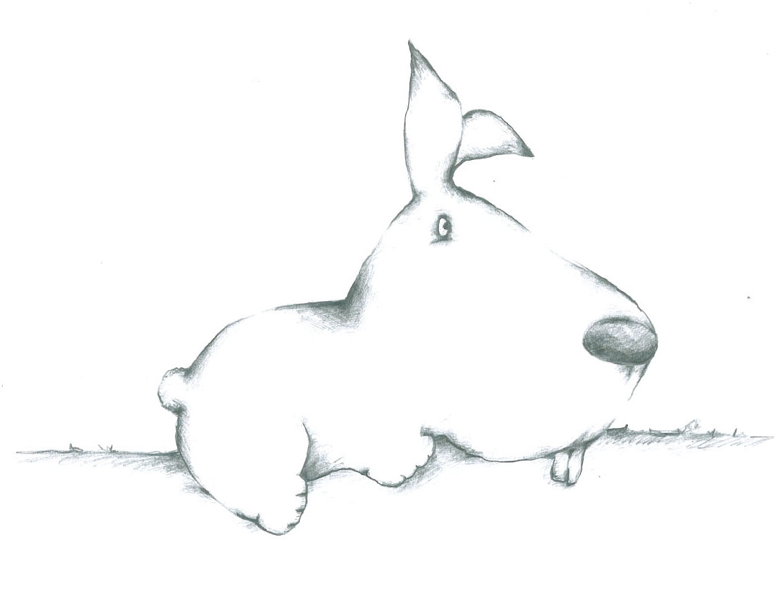 Animals (20)