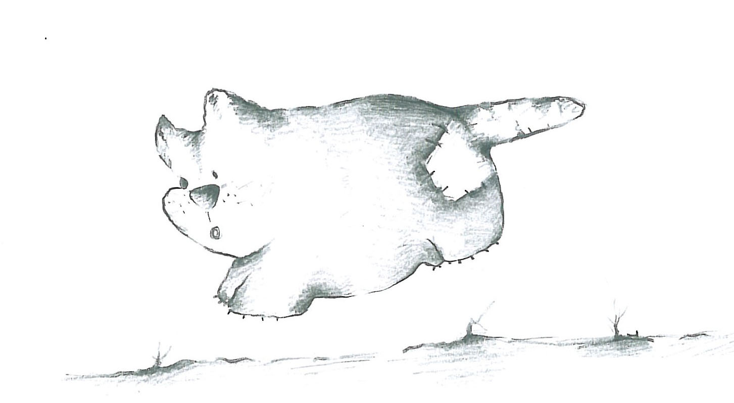 Animals (19)