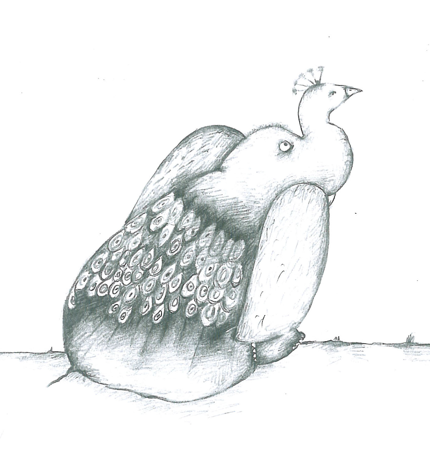 Animals (3)