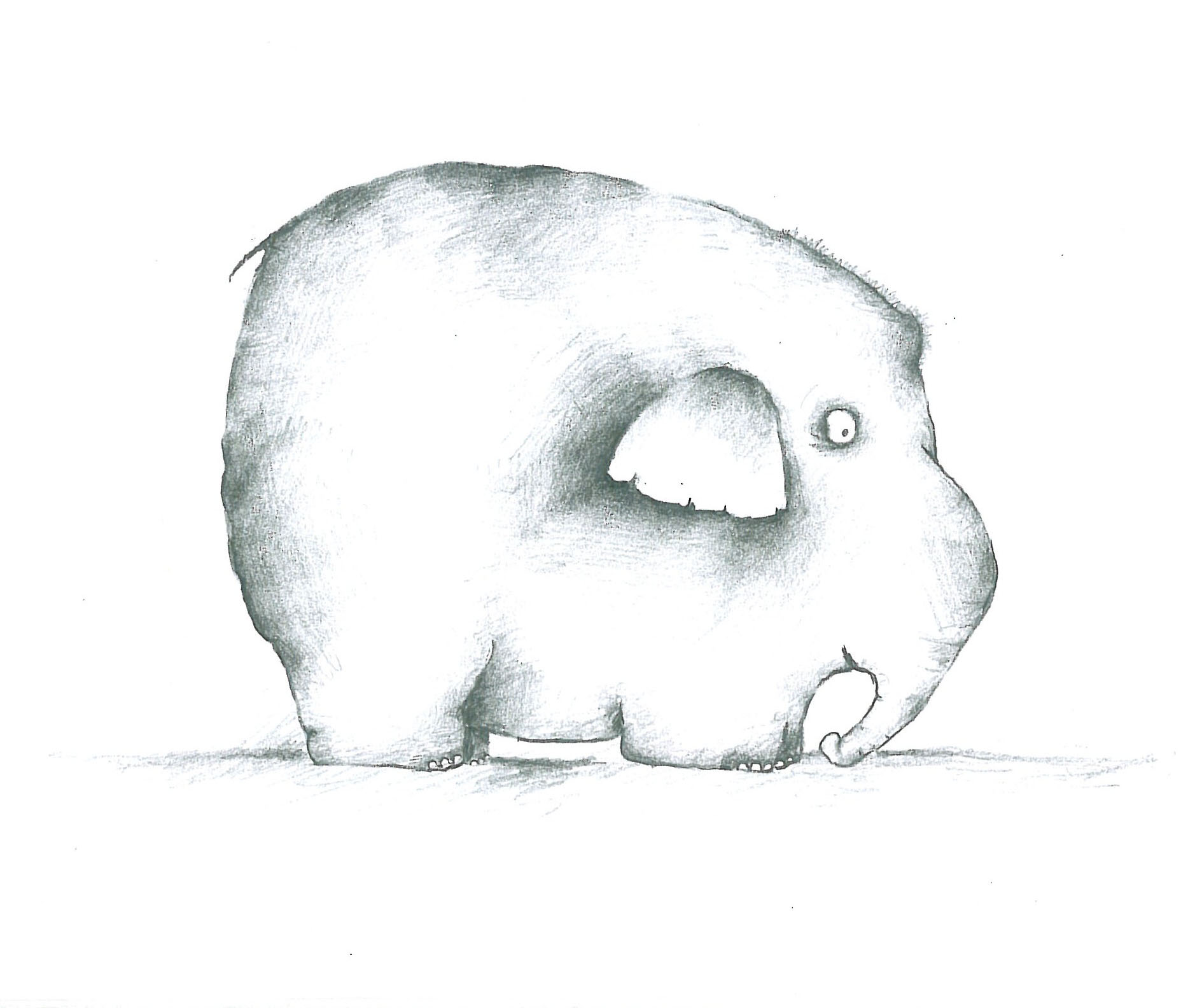 Animals (4)