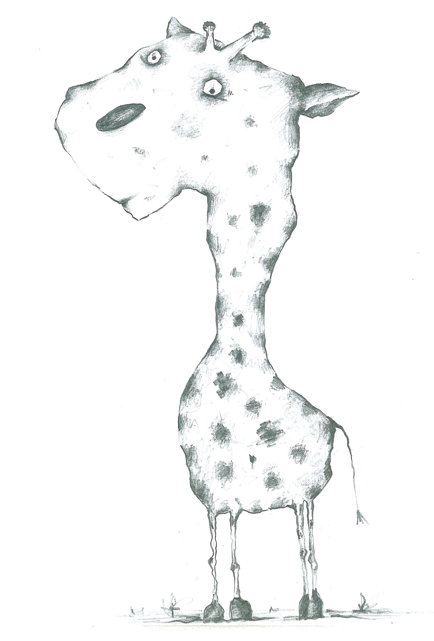 Animals (1)