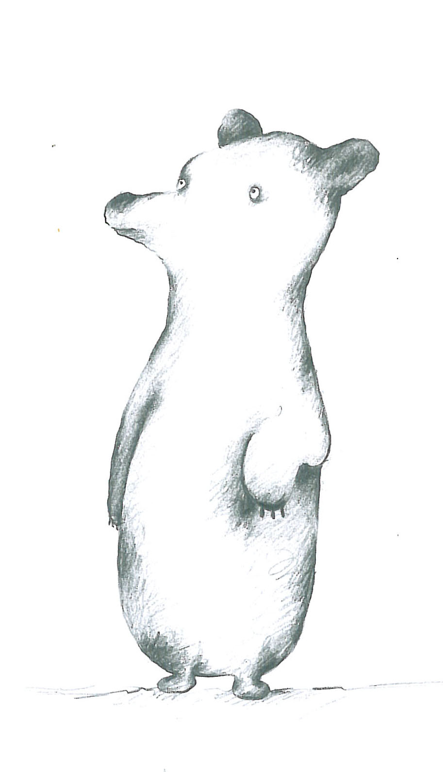 Animals (17)