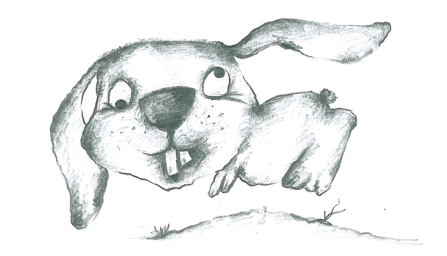 Animals (12)