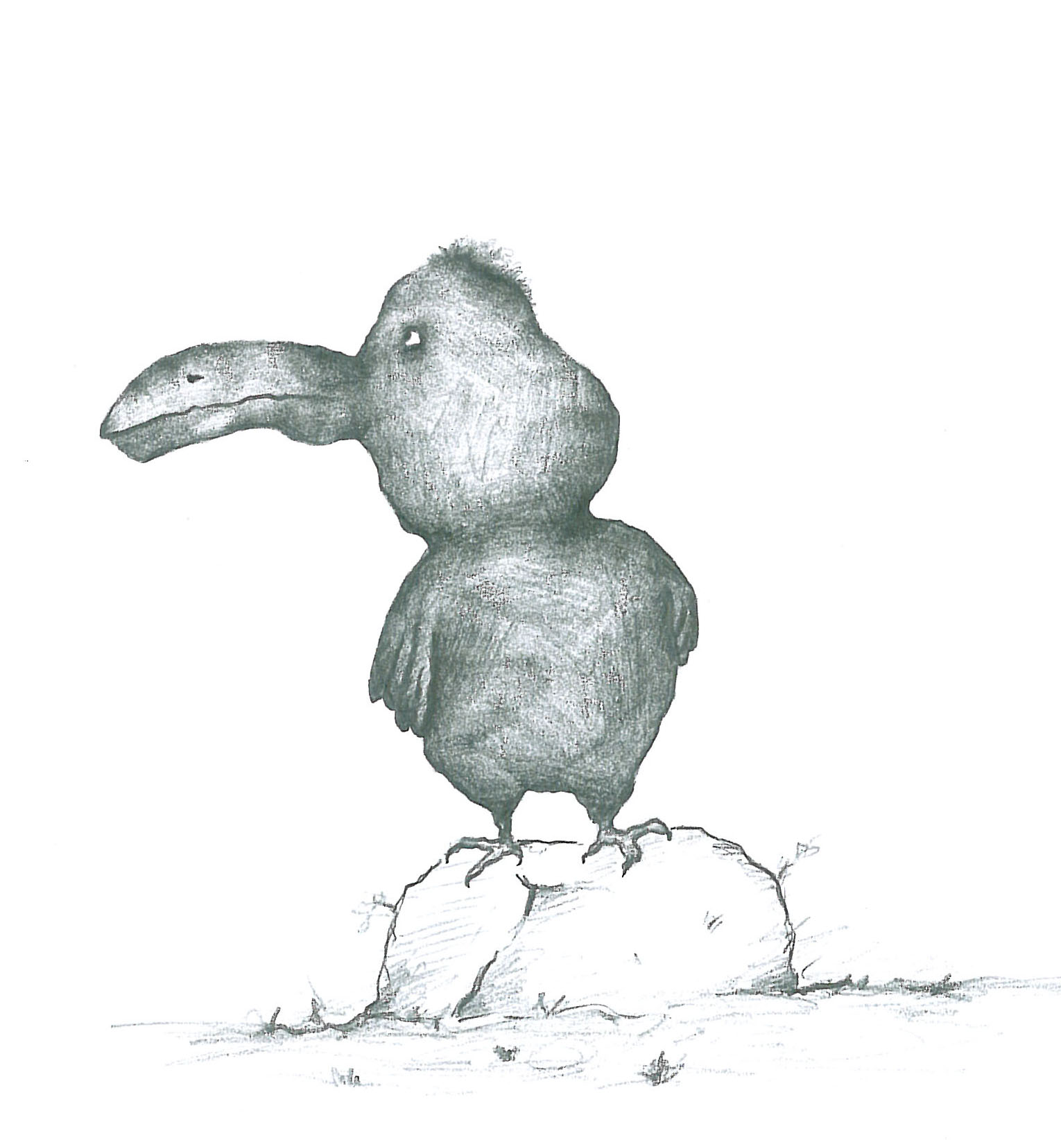 Animals (6)
