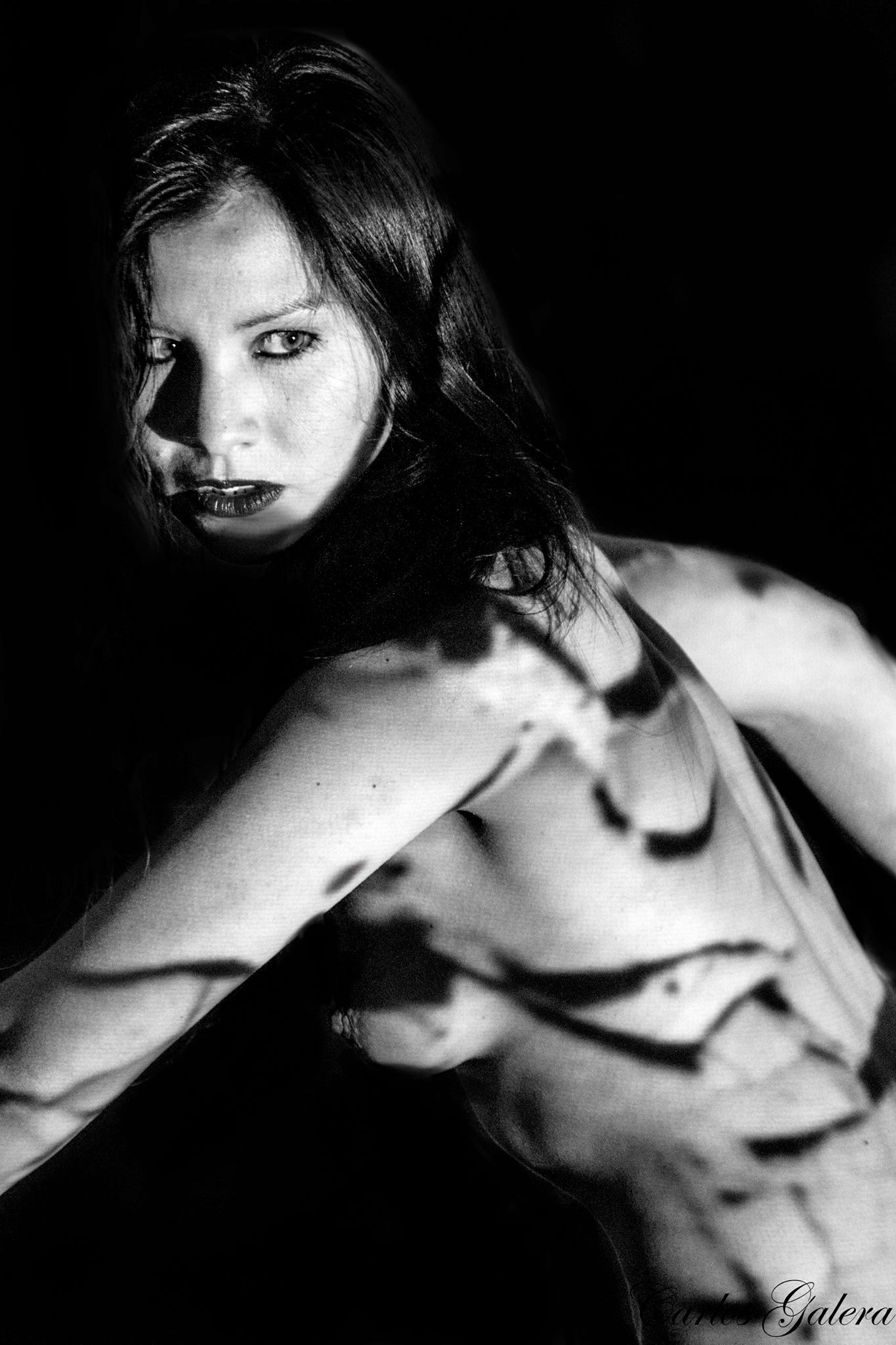 Lola Colobine