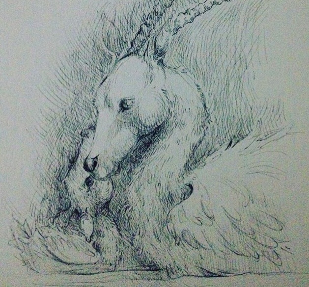 26