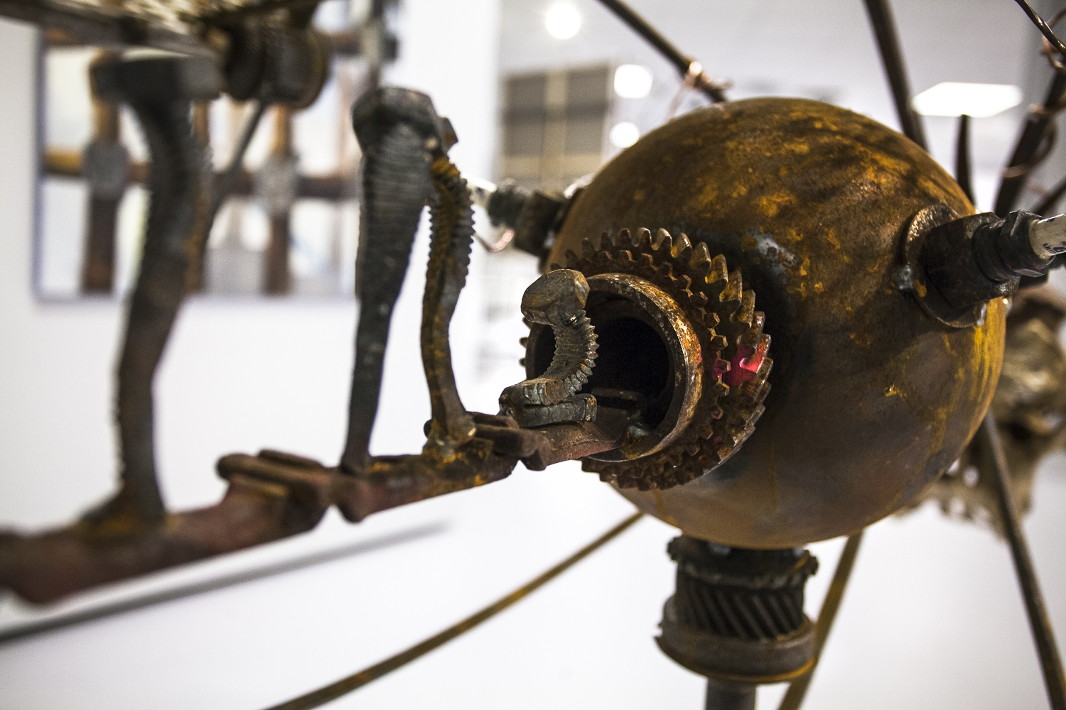 TOBBE MALM Creation Theory the bird