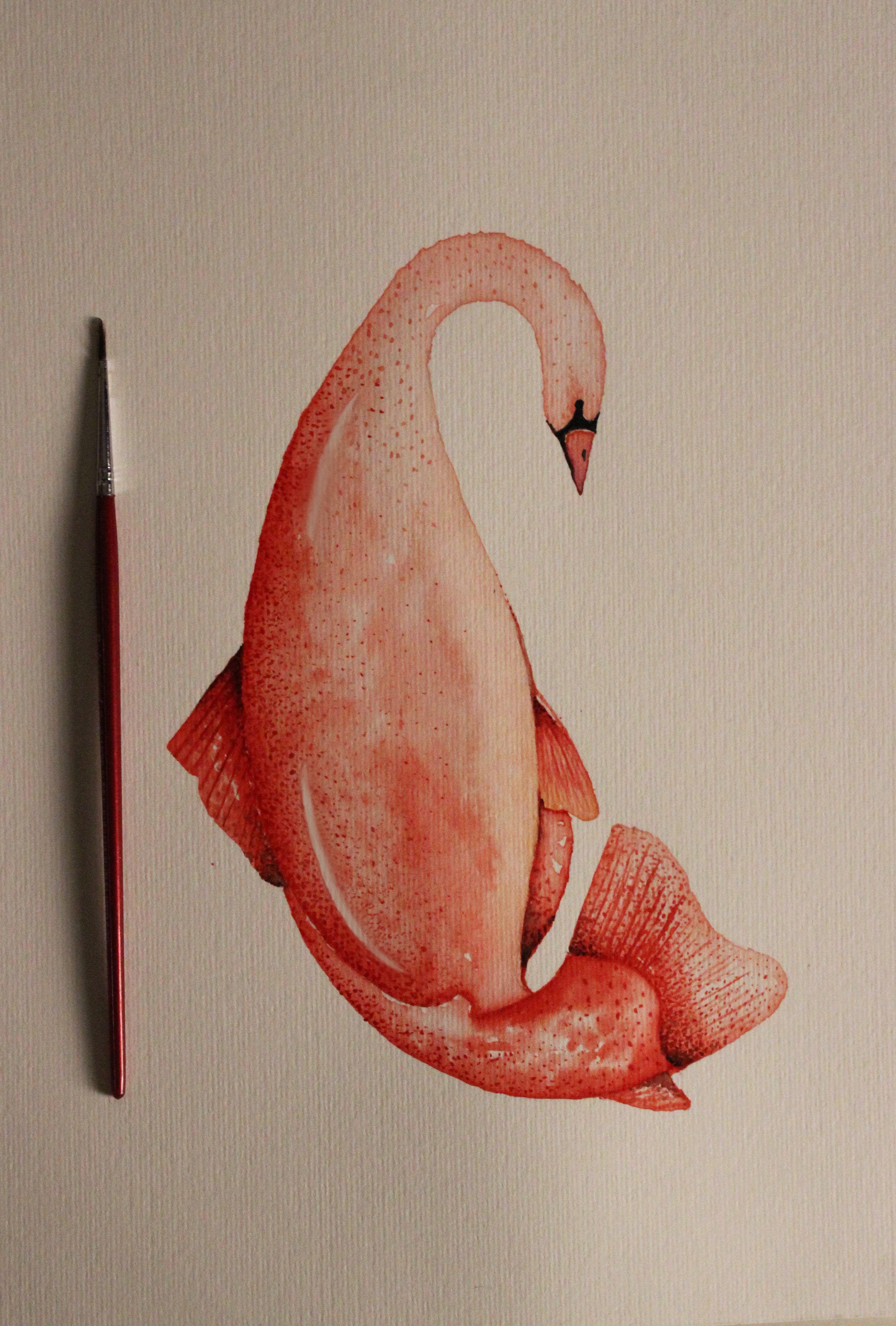 swanish