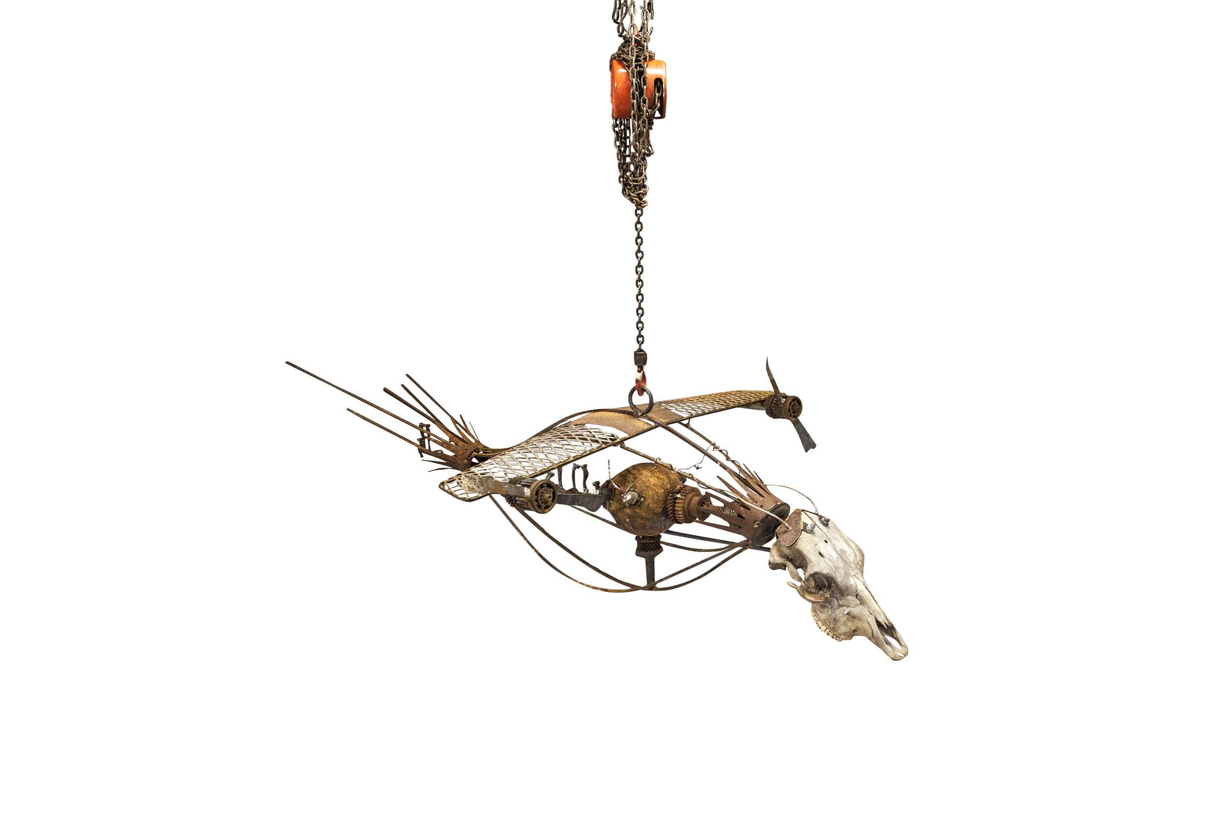 TOBBE MALM Creation Theory the bird