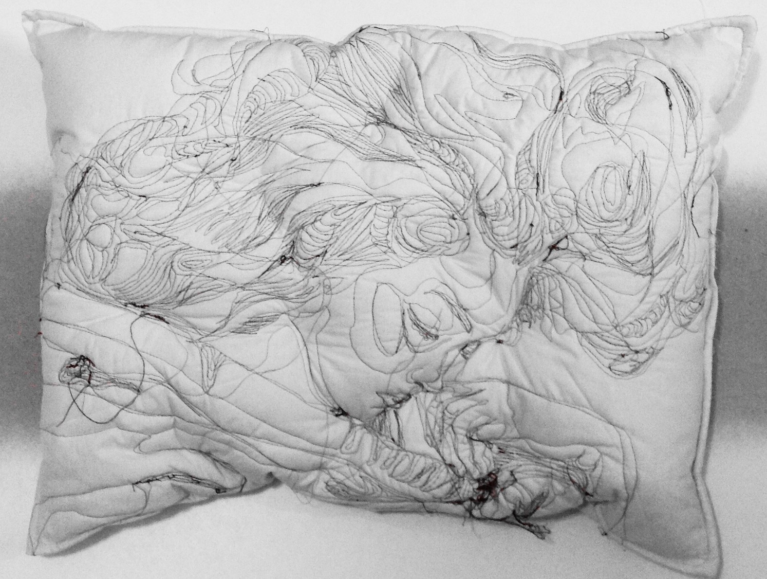 6,Maryam Ashkanian,Sleep Series,70.90cm,Sewing on Pillow,2014