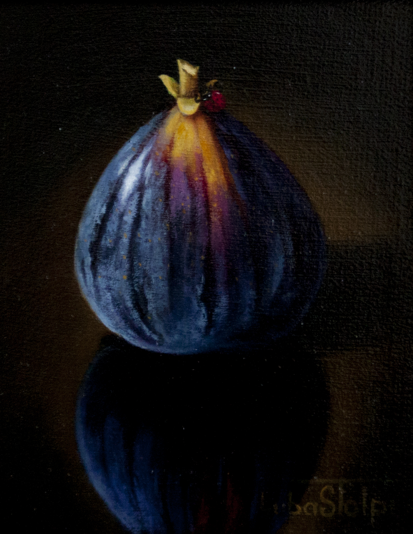 Fig 5x7 oil on board