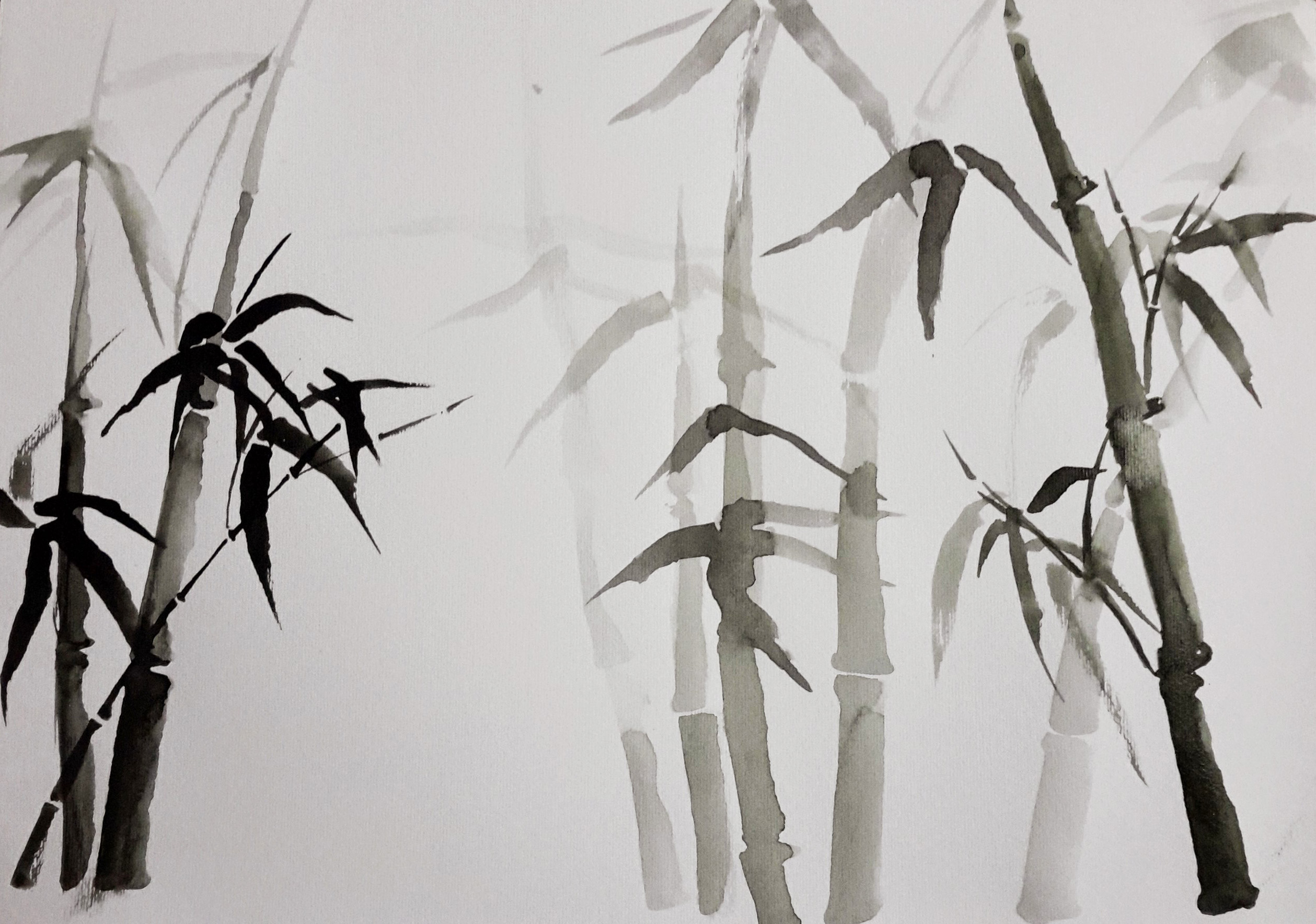 Bamboo