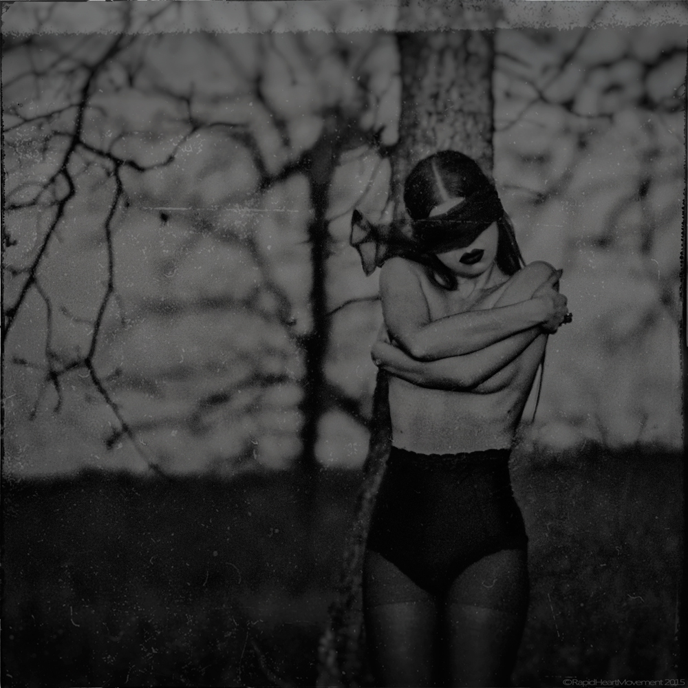 "How Many Swollen Hot Words Sleep on a Branch of the Autumnal Tree"