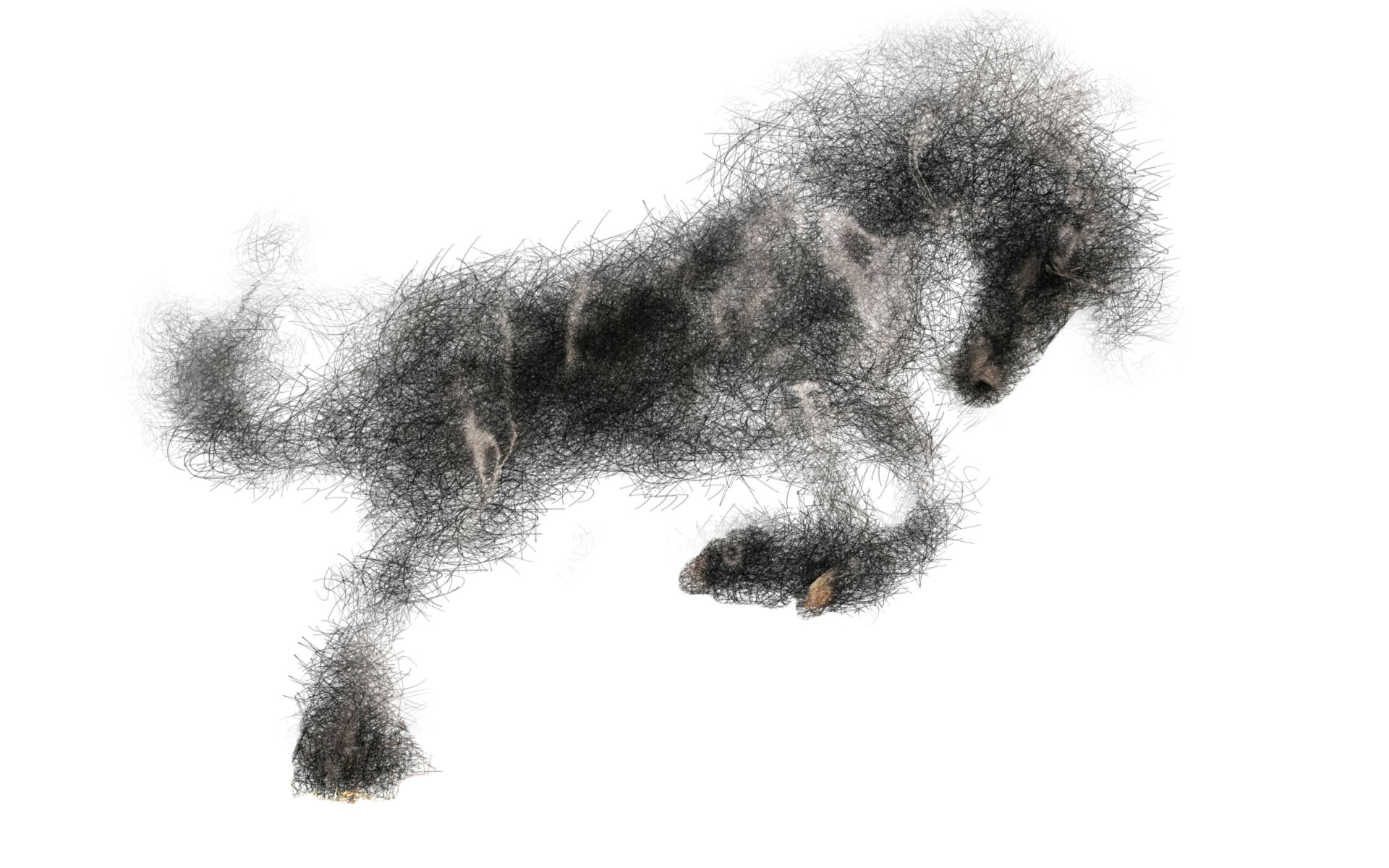 sketchy horse