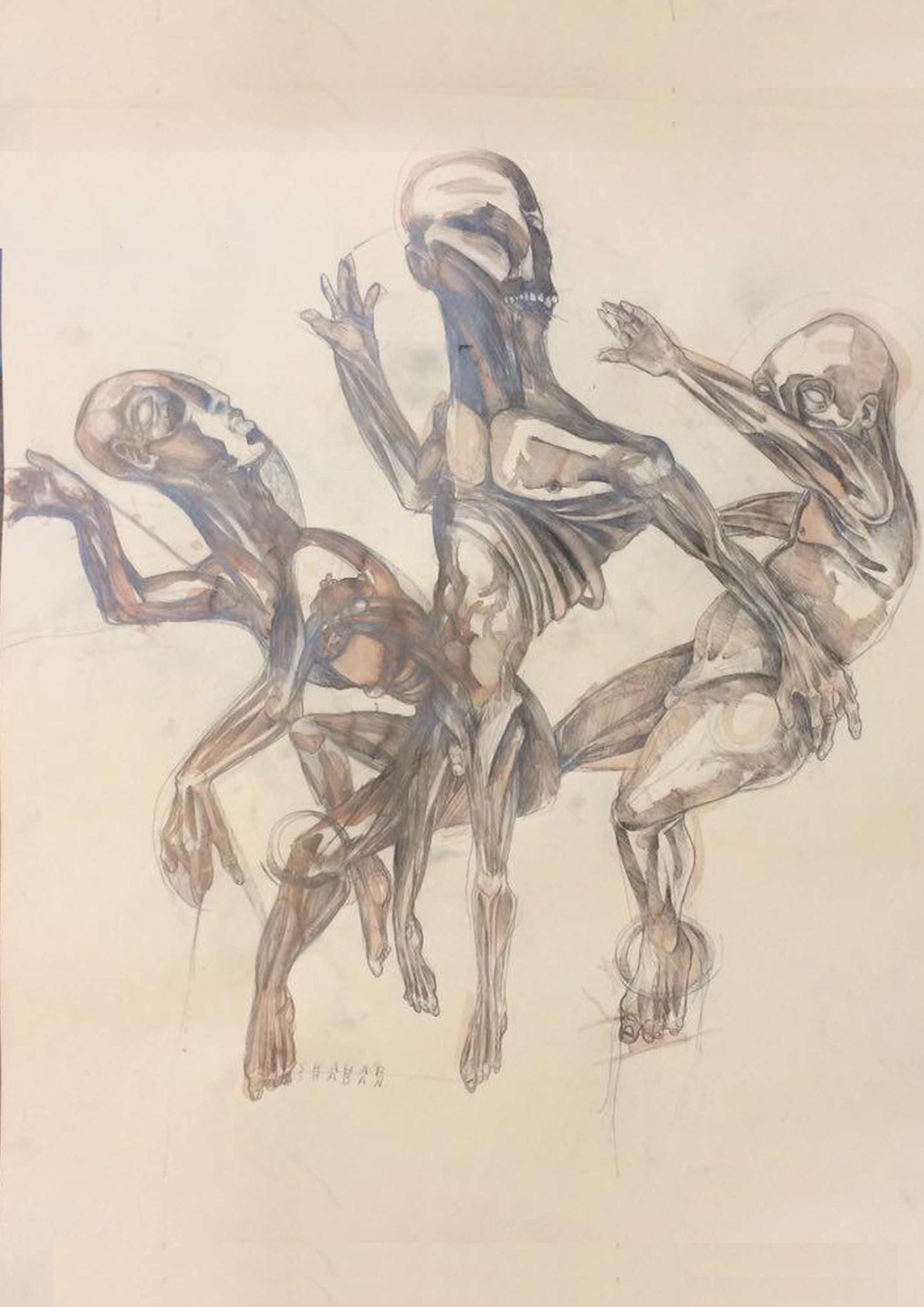 Untitled 33