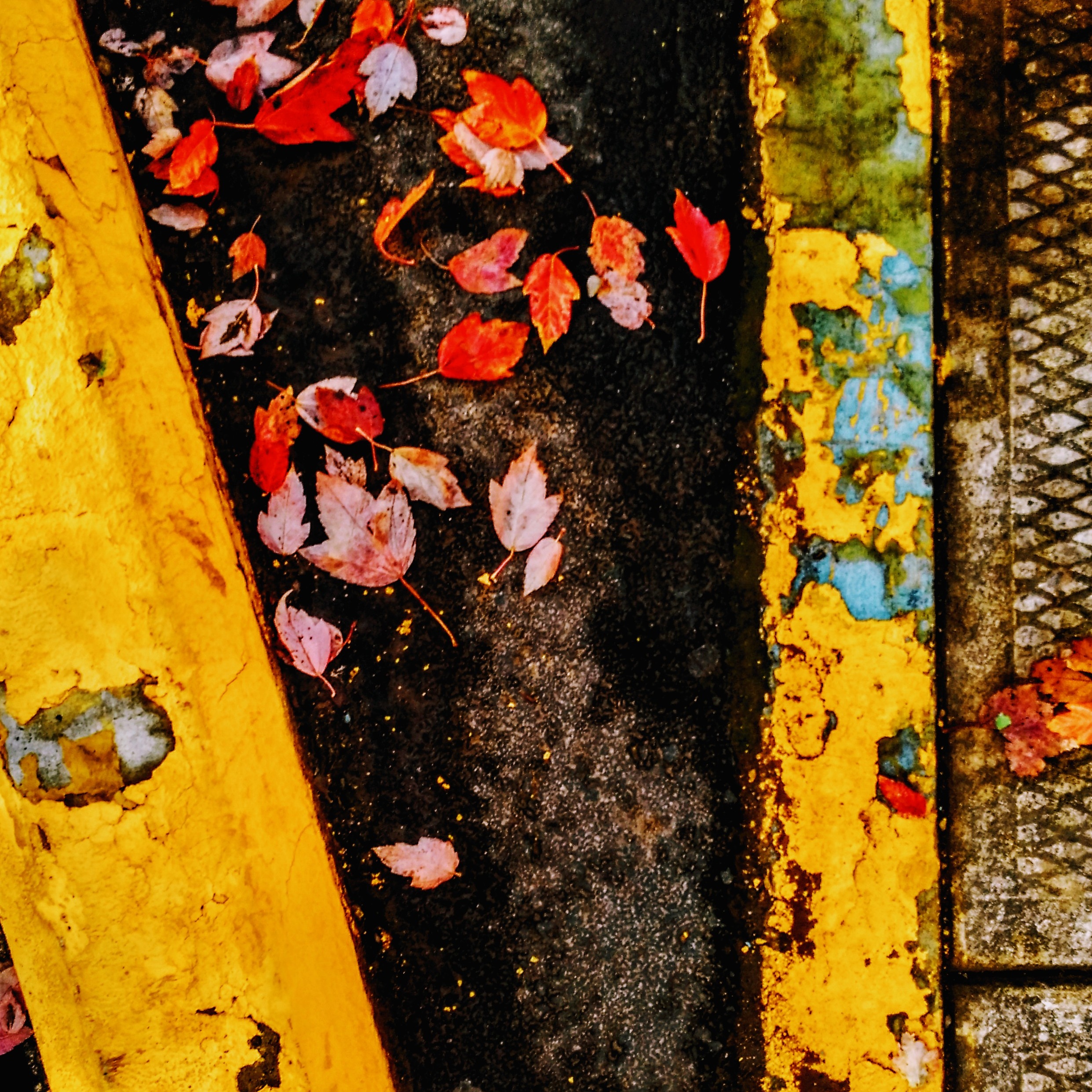 Street #2