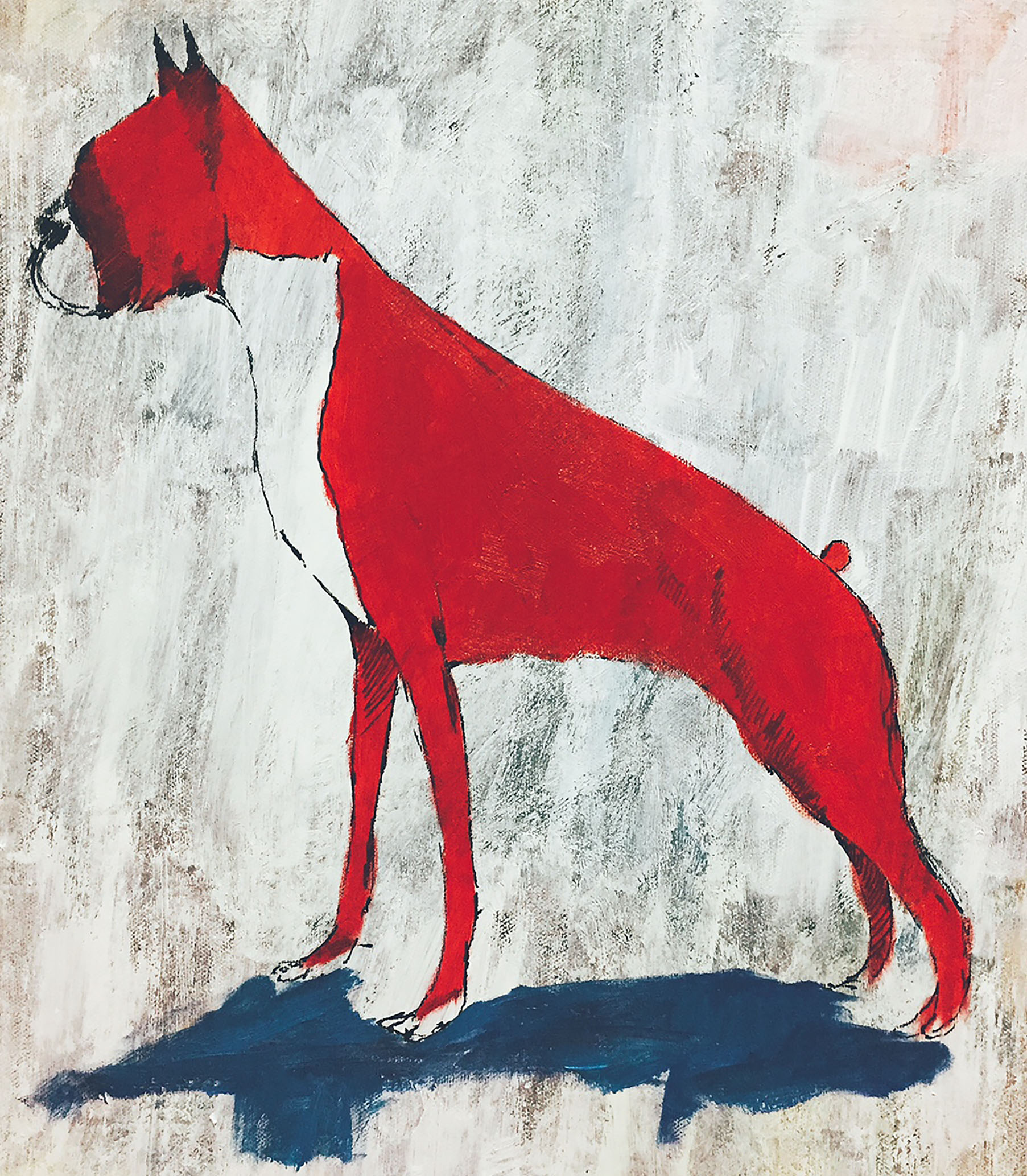 boxer