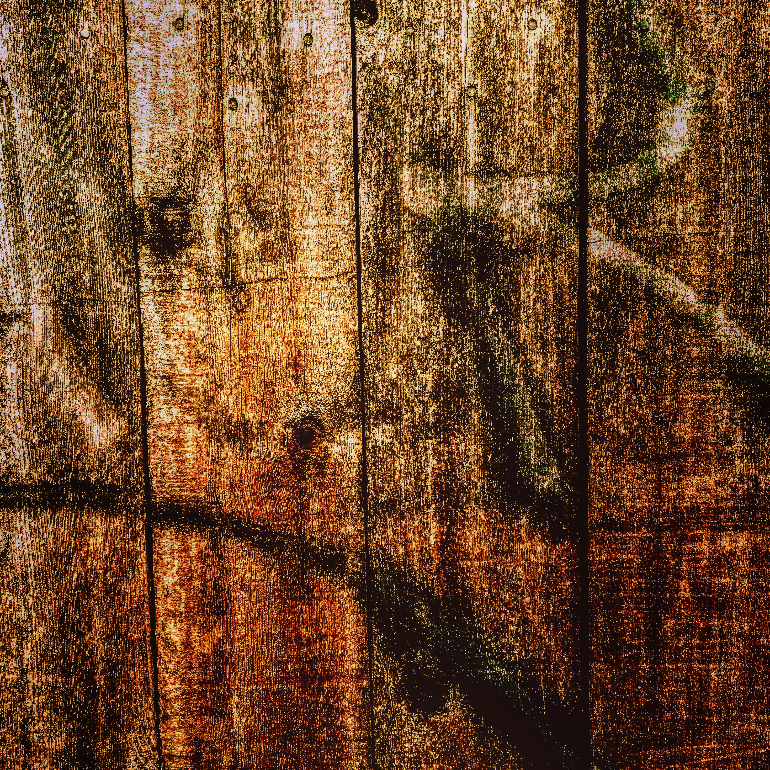 Fence #1