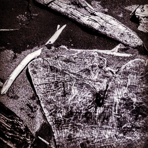 Driftwood Oregon Coast '81