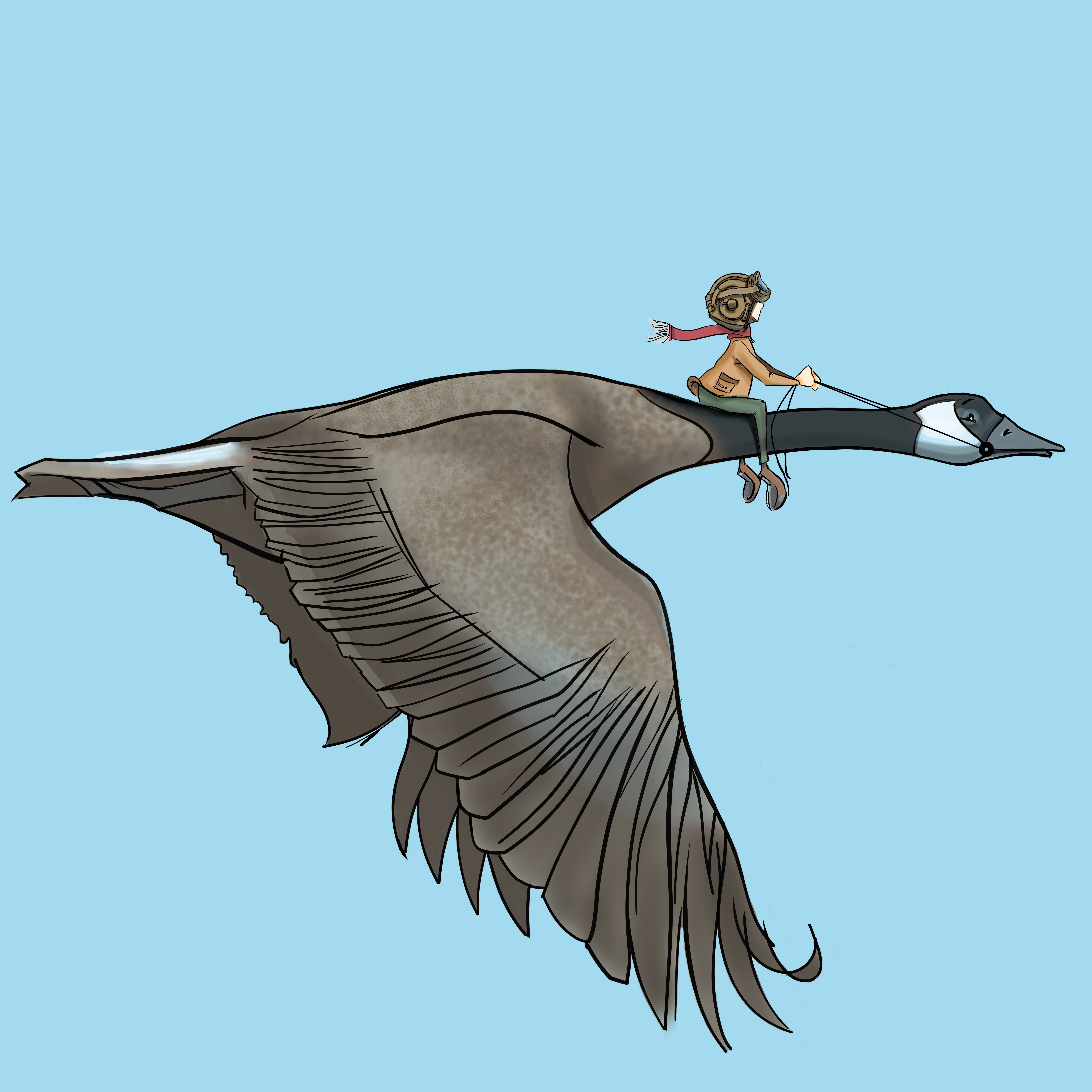 boy on goose
