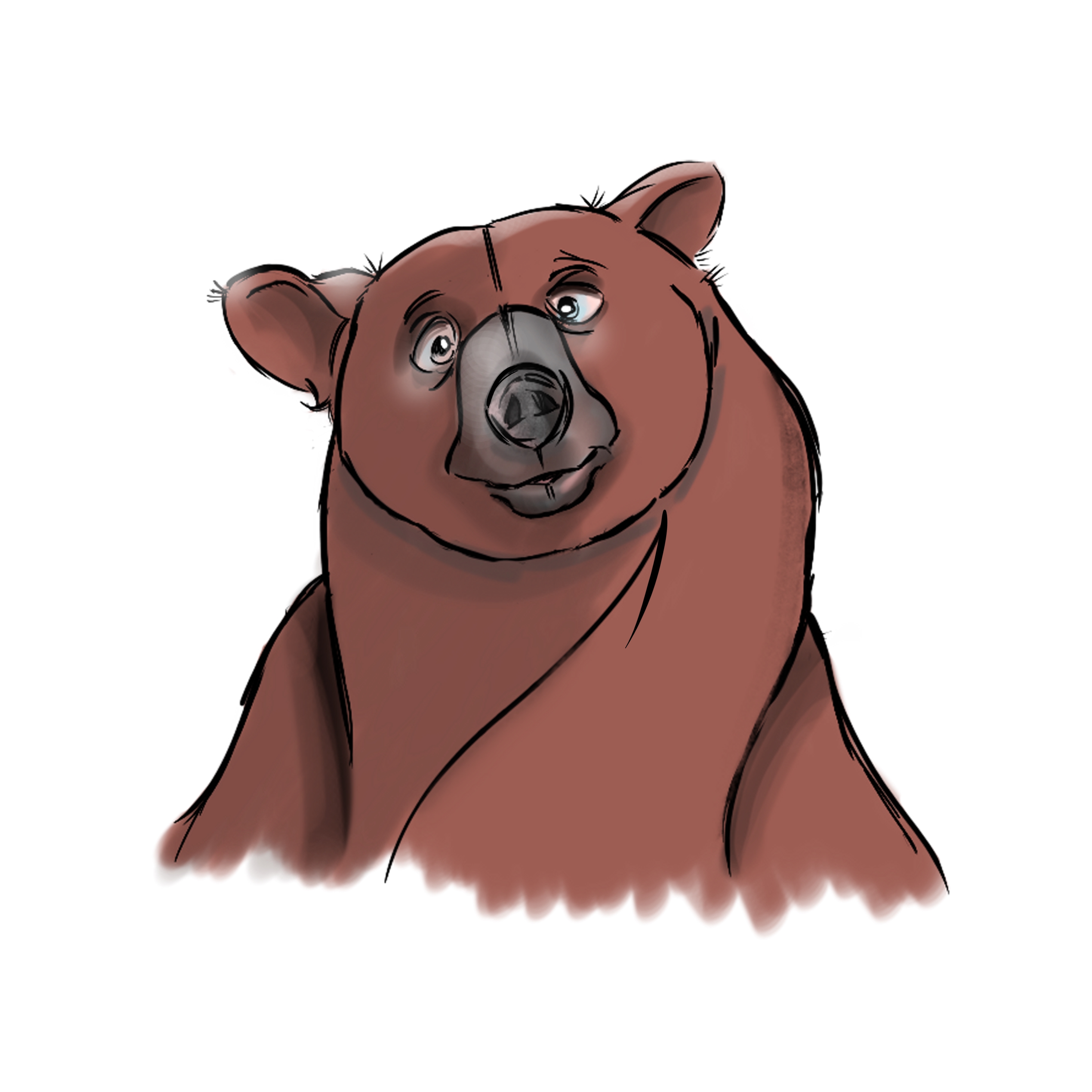Curious Bear