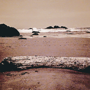 Dog Bone Oregon Coast