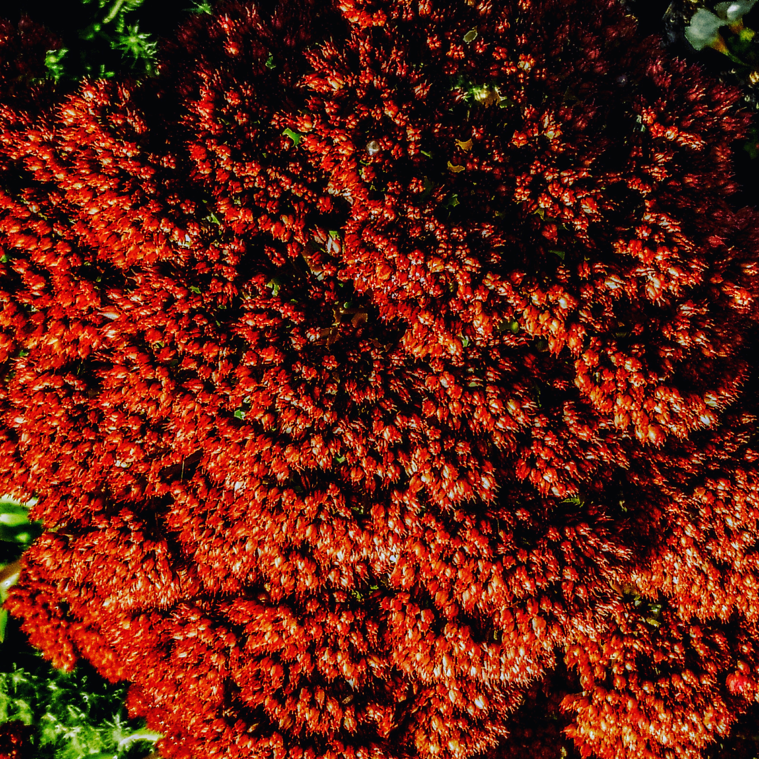 IMG 20171014 043216 977