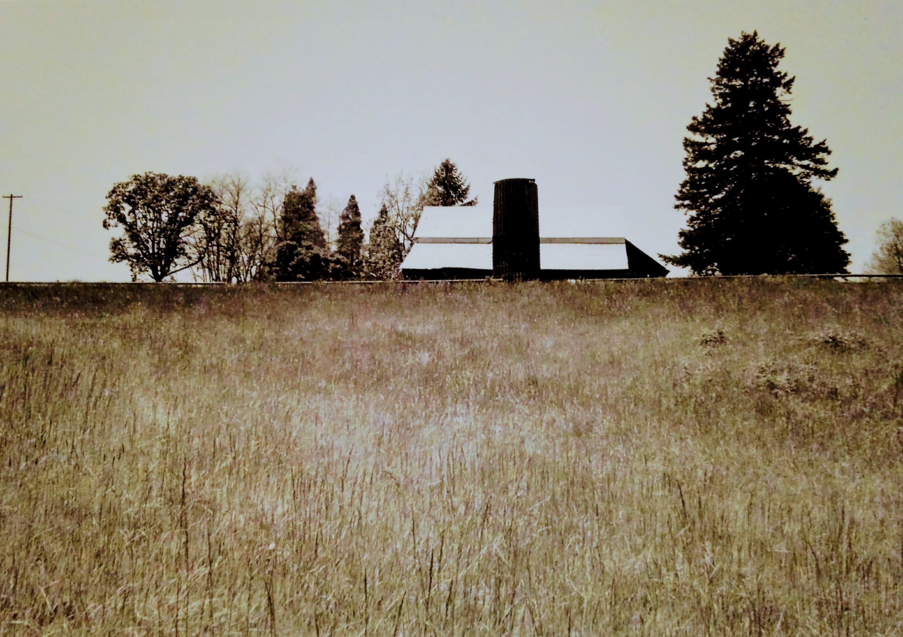 The Farm