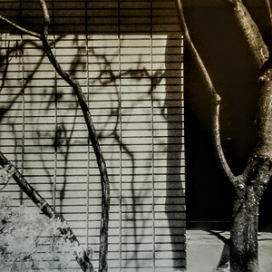 Still Life Urban Landscape #1