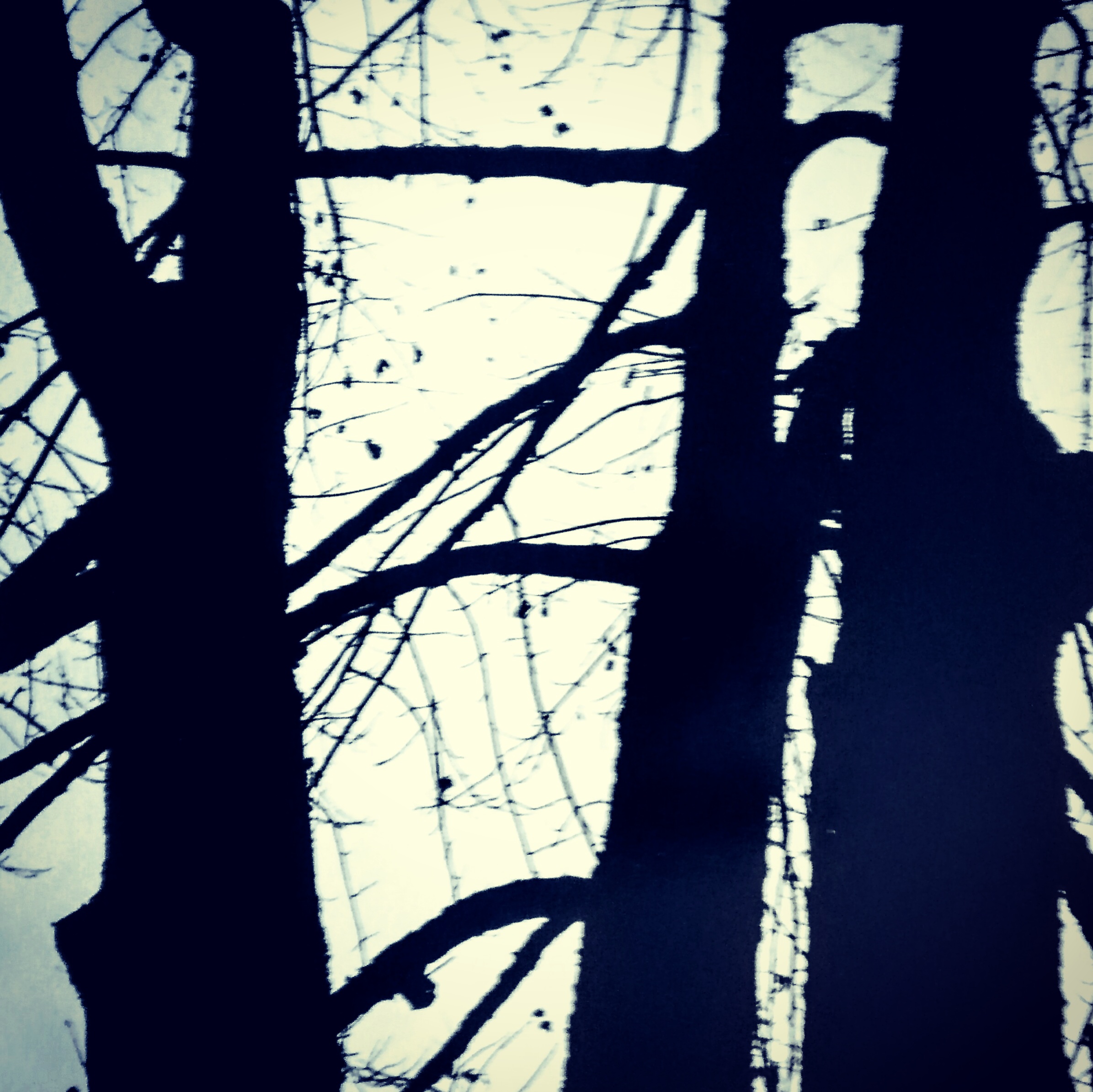 Negative Space