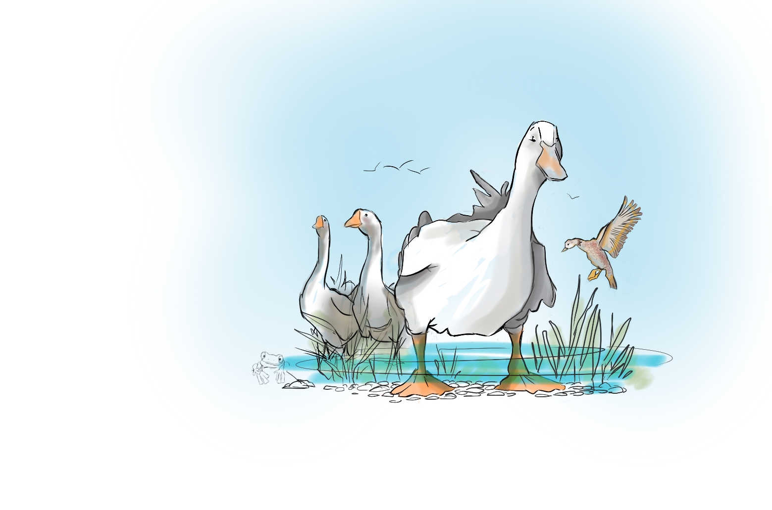 goose in water1