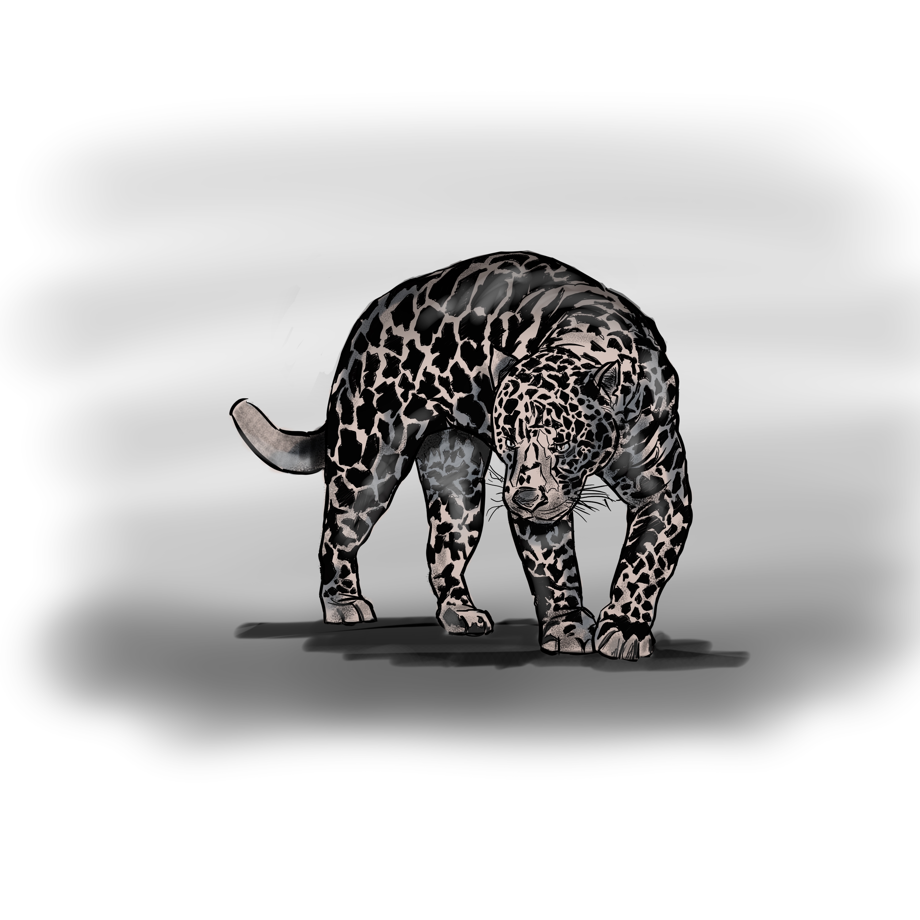 big cat
