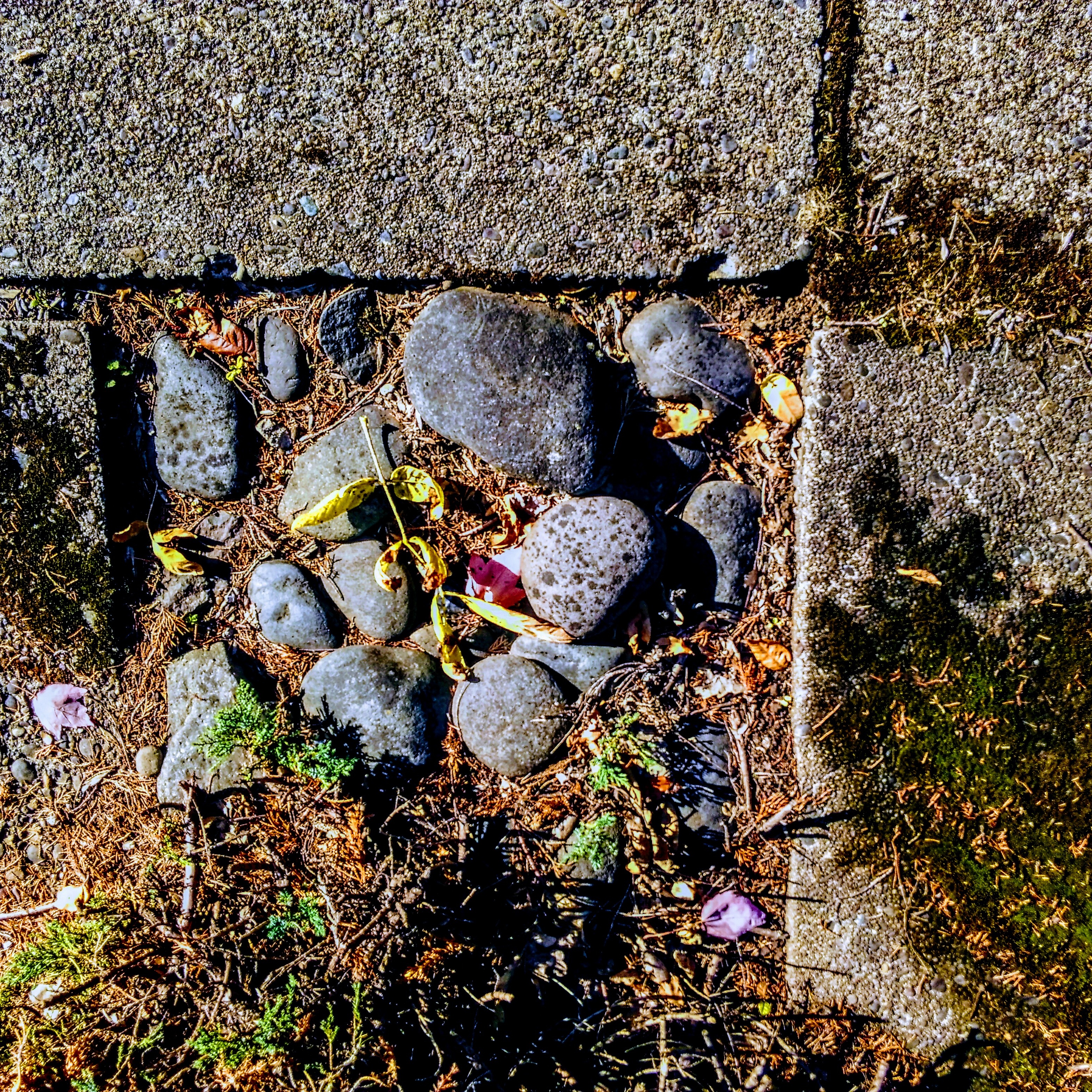 Urban Design #1