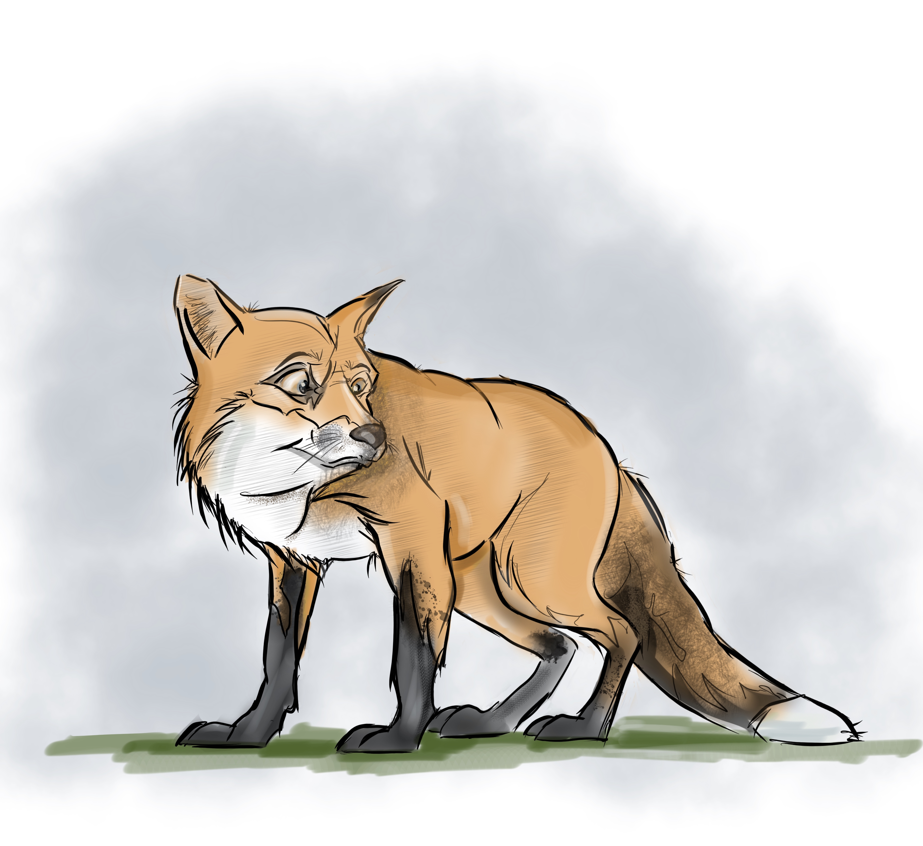 Fox