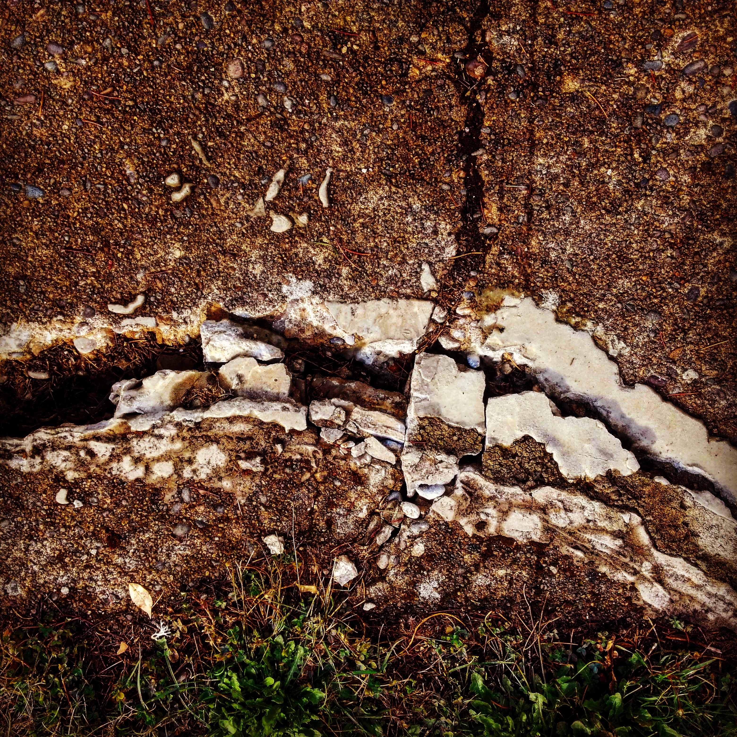 Tree Roots or Bad Engineering