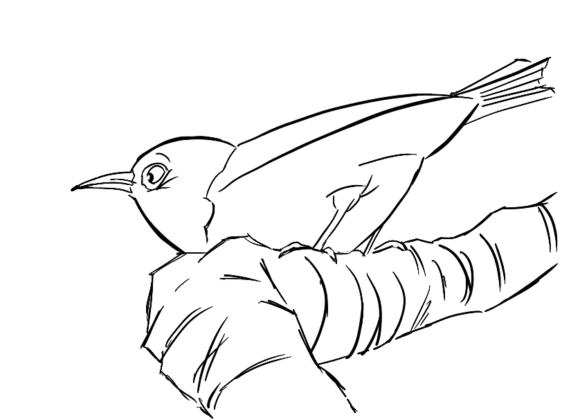 Bird on branch