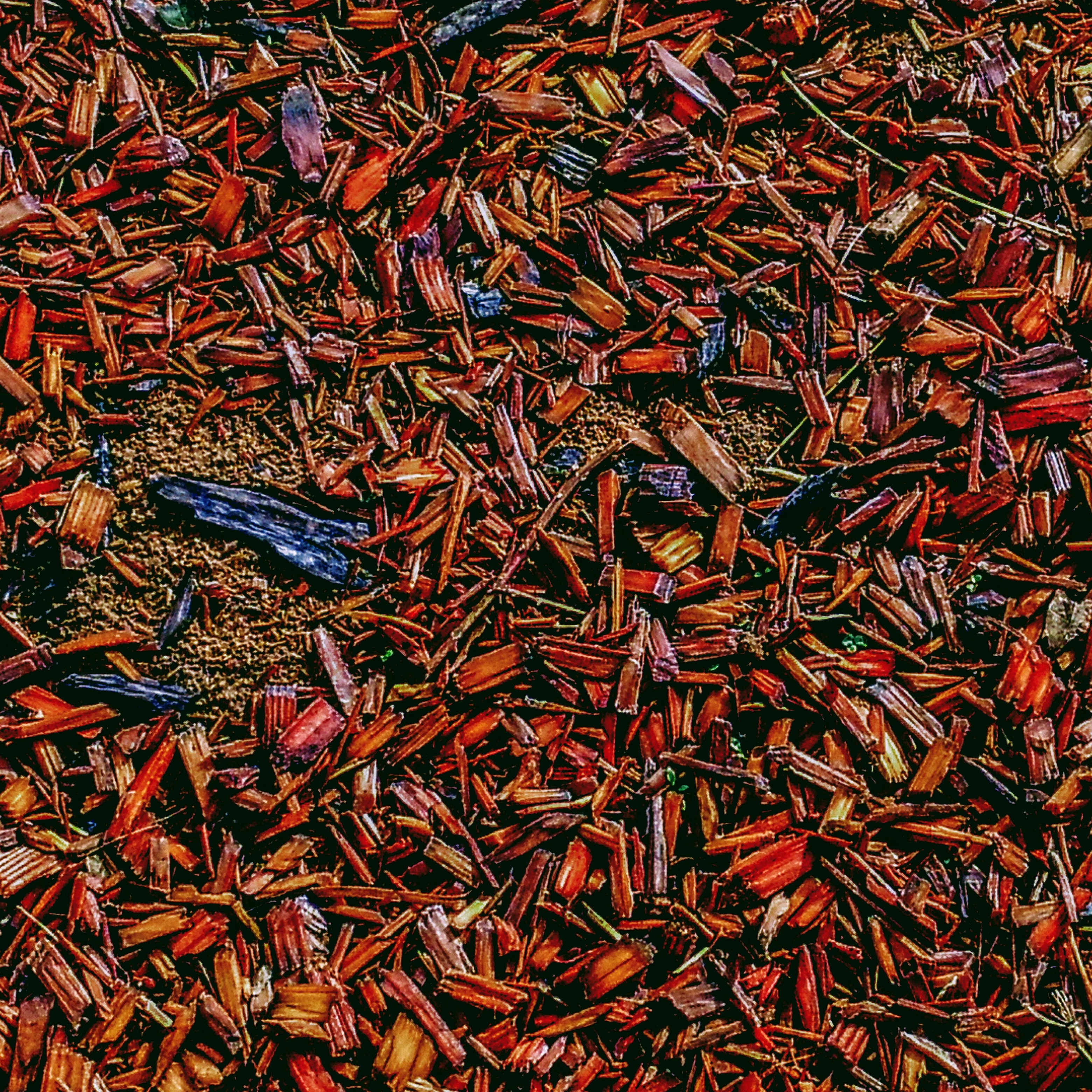 IMG 20171013 193832 493