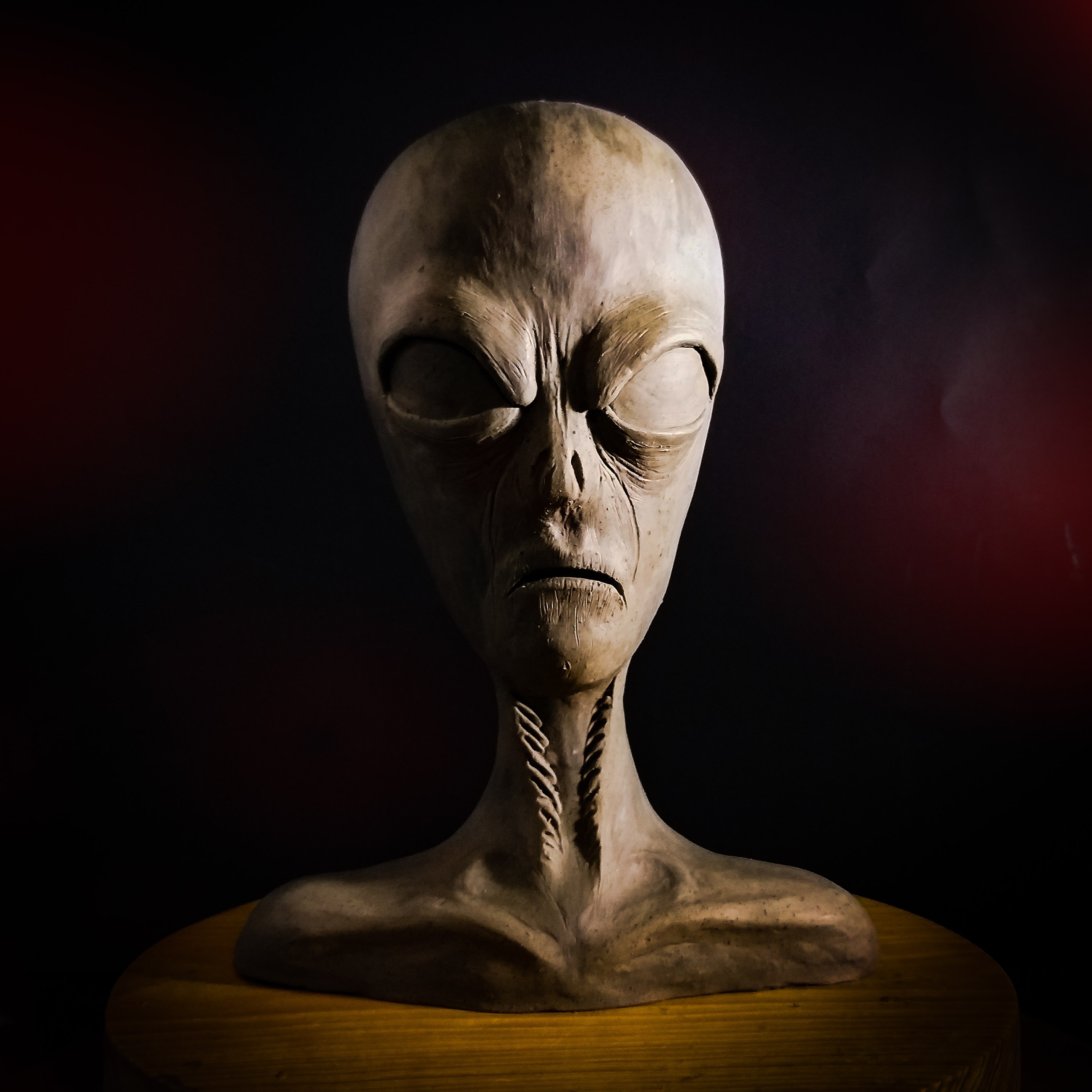 Alienigena