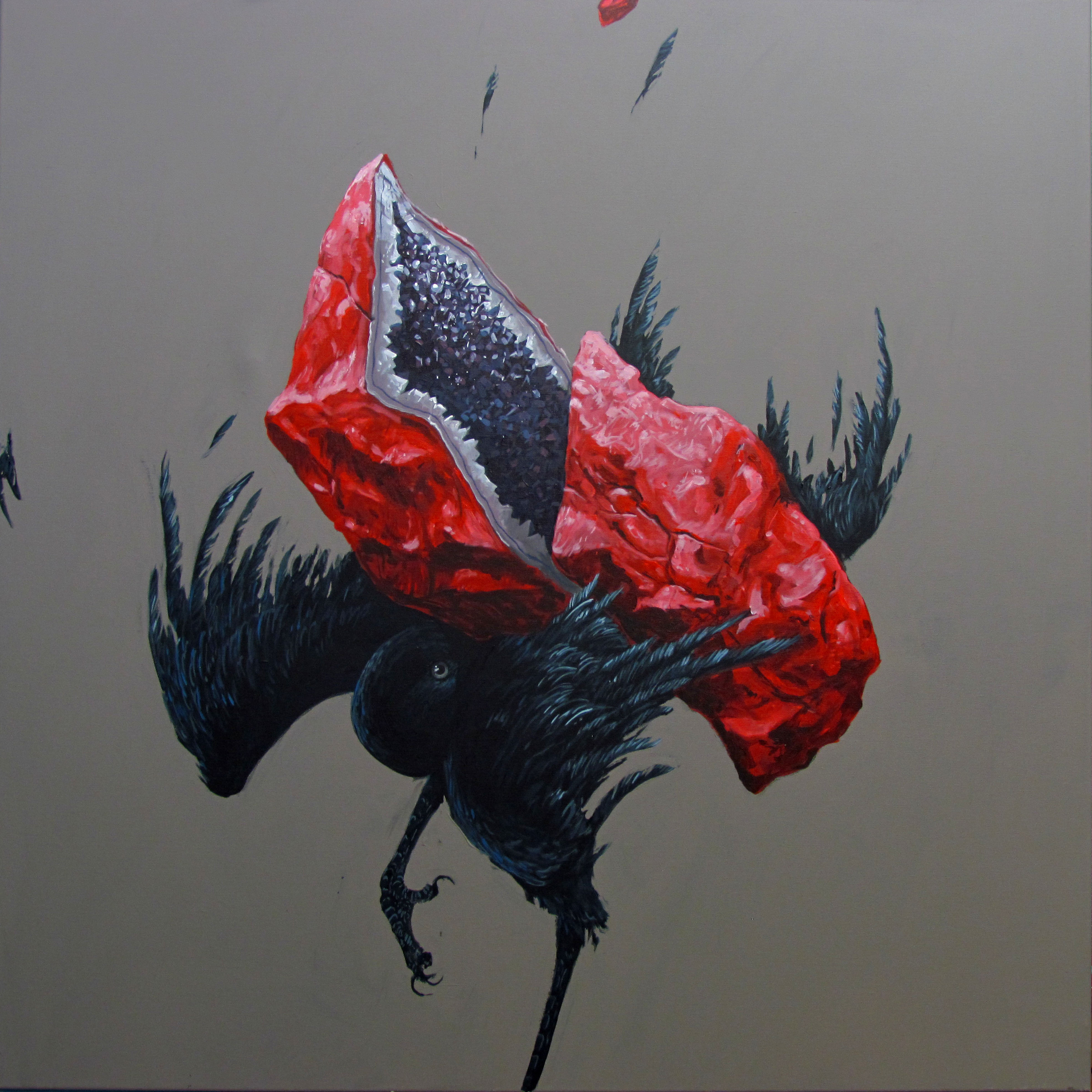 Disturbance series (Birds)