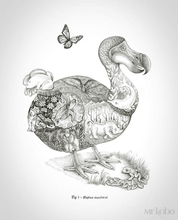 The way of Raphus Cucullatis