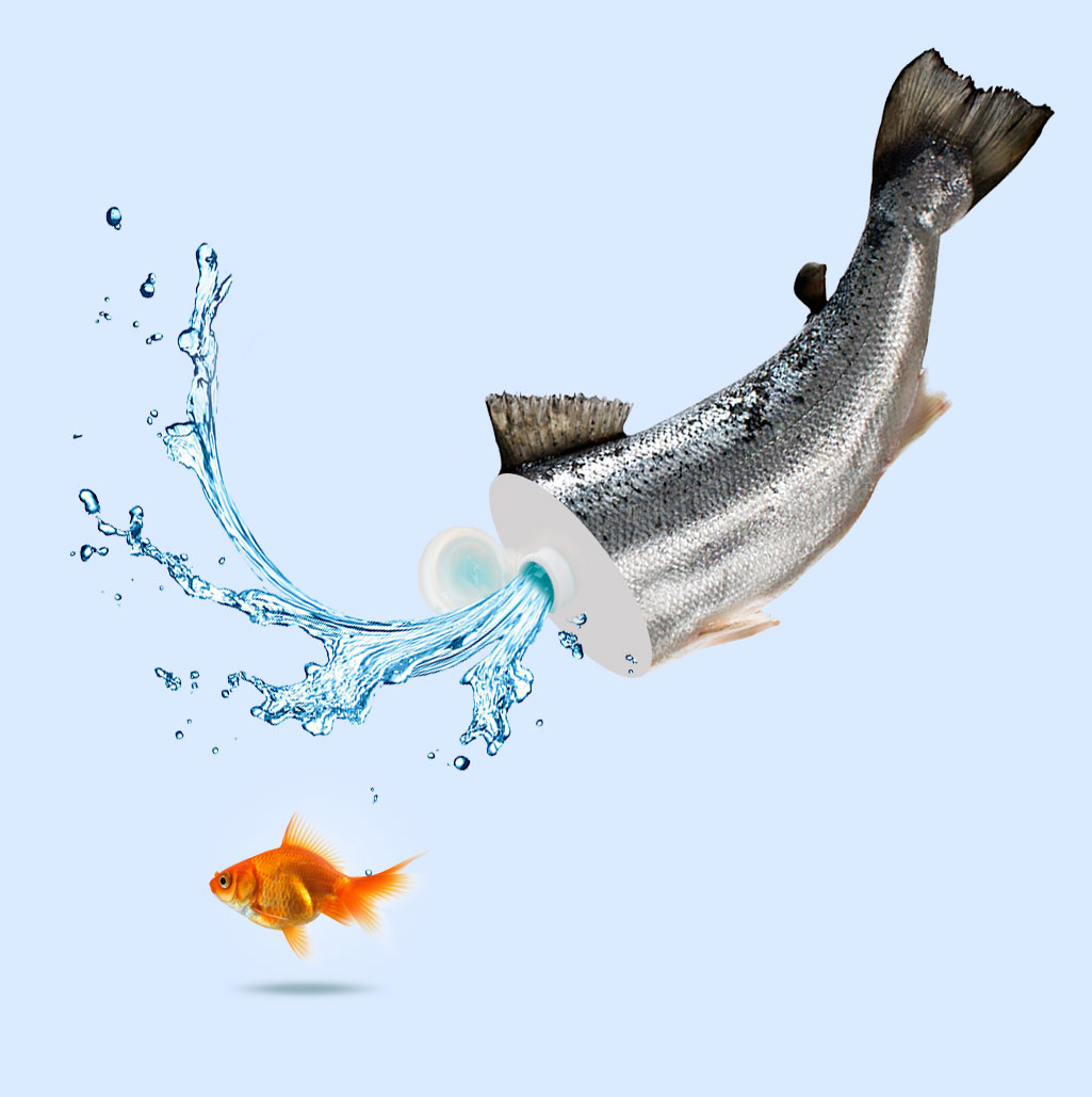 Fishpaste
