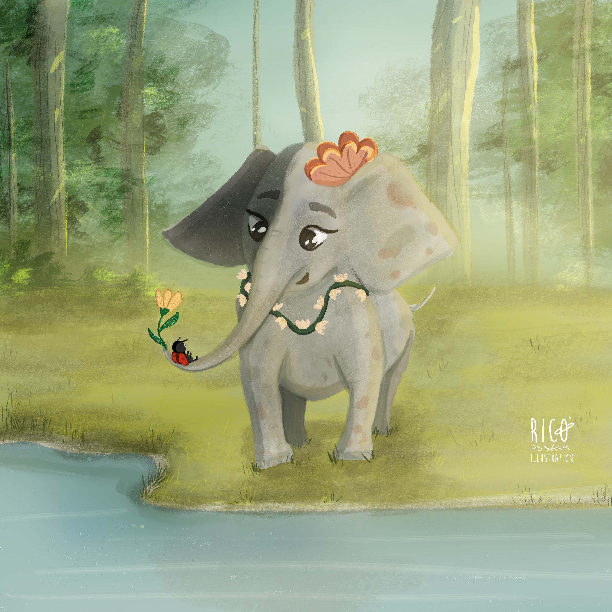 Baby elephant