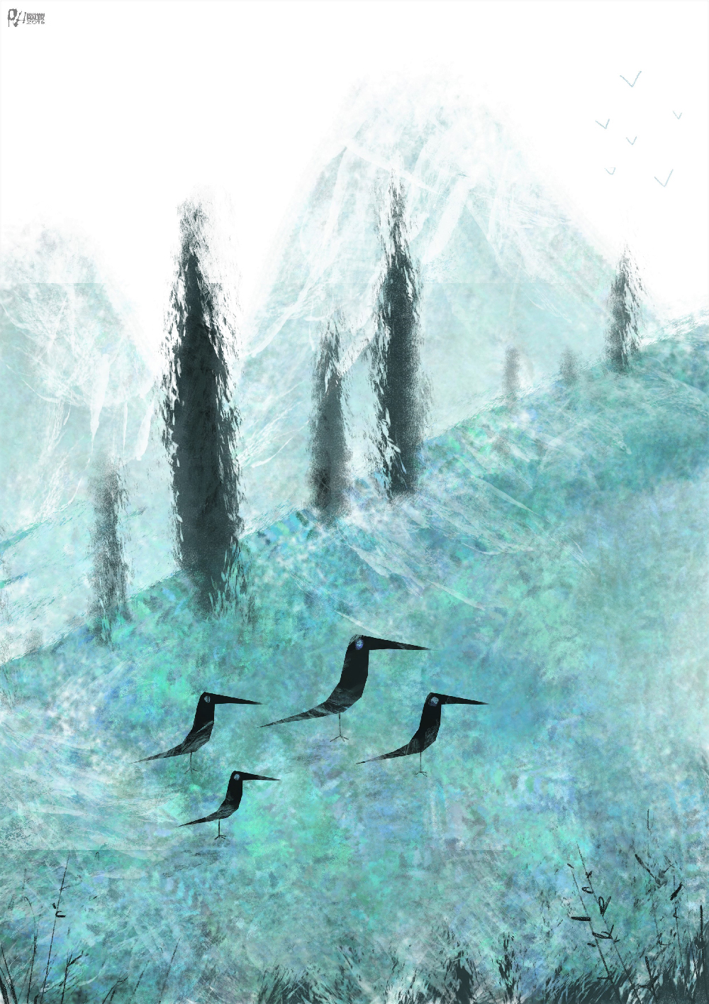 crows